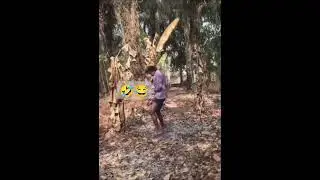 funny_video#shortvideo #todayshorts #comedy #shortvideofunnymemes  #funnyringtones#africa