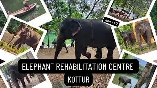 Elephant Rehabilitation Centre | Kottur | Trivandrum | Kerala Vlog #40