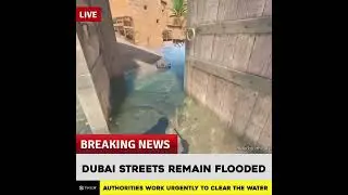 Dubai 😢  #cs #cs2 #csmemes #memes #csgo