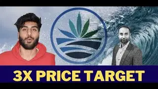 Best Stock Pick for 2023 (Analyst Price Target is 3x)