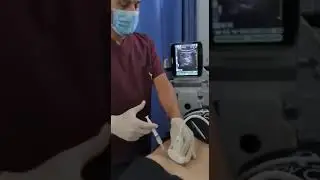 Ultrasound guided injection of lumbar L4/L5 facet joint.treatment of low back pain .