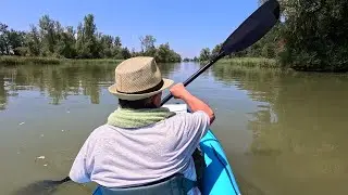 Mit dem Kajak auf dem Altenrhein zum Bodensee