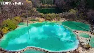Emerald green water is like a gem embedded at Jiuzhai Valley, a UNESCO site in SW China