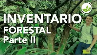 INVENTARIOS FORESTALES II - Parámetros de medición