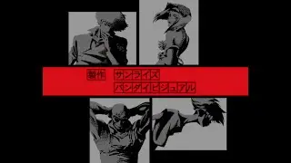 Cowboy B - Stray Dog