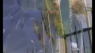 AUTO SALONI ALBERTI