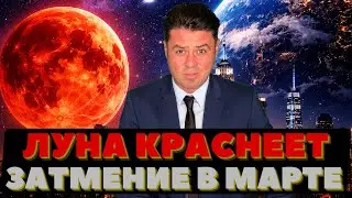 Тень Земли закроет Луну. Спутник краснеет. Кровавый диск в небе: что произойдёт с Луной