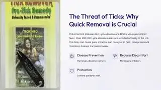 Shoo!Tag for Dogs: Natural Flea & Tick Protection &ndash; No Chemicals, No Mess!