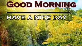Morning vibes|flower love|Energy music|lovable music|peace music|