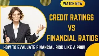 Credit Ratings vs. Financial Ratios: How to Evaluate Financial Risk Like a Pro