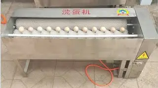 Small egg washing machine to clean eggs.