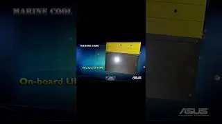 Asus Marine Cool - материнская плата с ИБП, мать его