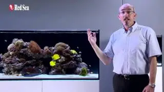Red Sea  REEFER Aquarium Systems