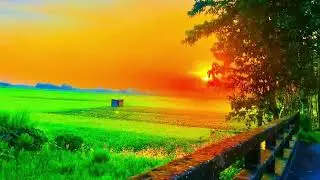 Grameen Natural view with relaxation music.#nature #video #youtube 