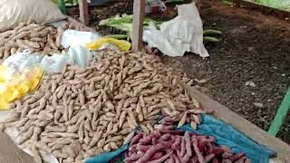 Pili lang kayo #tabo #biliran  #market  #biliranisland 👍💪