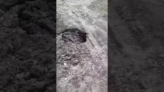 Прорыв трубы и провал асфальта в Заводском районе