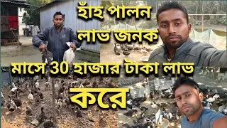 হাঁহ পালন লাভ জনক। মাসে 30 হাজার টাকা লাভ করে || Village Duck Farming Poultry Farm Bangla Vlog Video