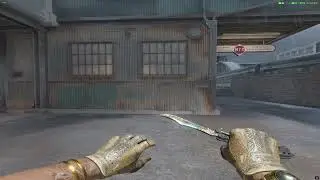 CS2 | KNIFE GLOVE Combos:★ Butterfly Knife | Case Hardened (WW)+★ Sport Gloves | Arid (BS)