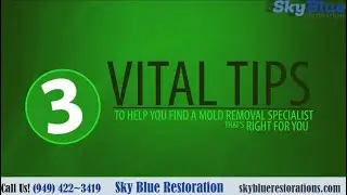 Sky Blue Restorations specializes in mold removal, and great customer service throughout Irvine.