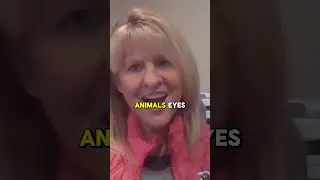A healthy liver leads to clearer eyes in your dog! | Gussys&rsquo;s Gut