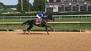 Maxfield wins the Stephen Foster
