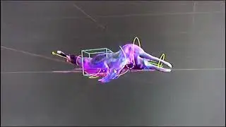 3D Dolphin Basic Swim Animation