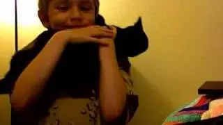 Noah's Cute Kitten Movie