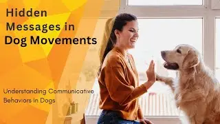 Revealing the Language of Canine Connection: How Dogs Communicate with Humans #dog #animals