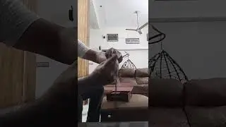 Scarebot - Rat Repellent/Protection Device for car and Home.
