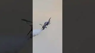Aermacchi MB-339 gone Wild!   (Frecce Tricolori 🇮🇹 Flight Demo)
