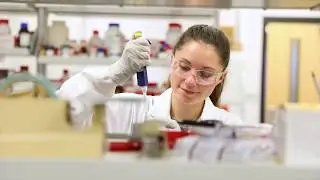 Minor in Biomedical Engineering - Bella