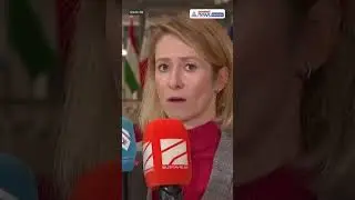 &laquo;Не могу представить себе отдельную европейскую армию&raquo; &ndash; глава внешнеполитического ведомства ЕС К...