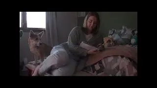 The First Story | Short Story
