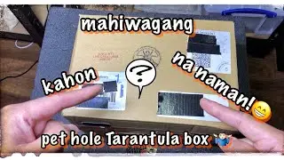 Unboxing Mystery Box - Mga old world tarantulas naman...🤫
