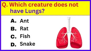 General Knowledge Trivia Quiz | 30 Questions Only Smart People Get Right! 🧠🤓