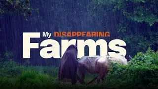My Disappearing Farms | Documentary | Official Selection CMS Vatavaran Film Festival 2017, New Delhi