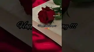 Happy Rose day ❤️#reel #rose #valantineday