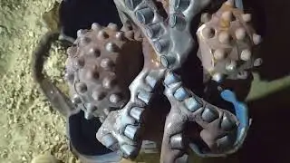 Kymera drilling bit