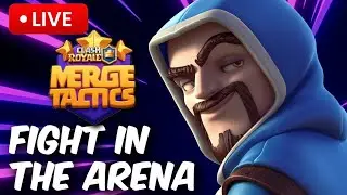 Merge Tactics grind to 3000 trophies!
