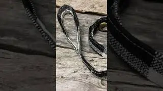 Dog Leash, Lightweight Dog Leash, Personalized Dog Leash, Custom Dog Leash, Puppy Leash,Fancy Script
