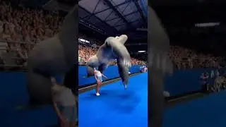 Incredible Gymnastics Duo  Woman and Silverback Gorilla Flip in Sync #GymnasticsMagic