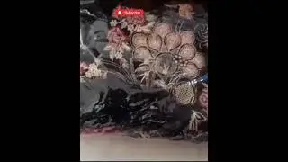 Pakistani suit unboxing from meesho #shorts #meesho #viral #pakistanisuit #unboxing