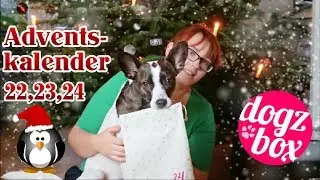 DogzBox Adventskalender T&uuml;rchen 22,23,24 // Fazit
