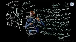 Heart | Science Class 7 | Chapter 2| Lecture 2 | Sindh Online School