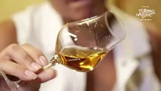 D&iacute;a Nacional del Tequila 2021