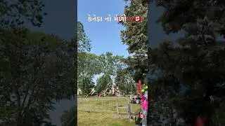 કેનેડા નો મેળો, free fun activities  #canada #ontario #londonontario #vibes #fair #downtown #shorts