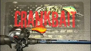 Year Round Lures: Crankbait 