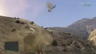 حياكم بث ريد ديد / تختيم🔥 و قراند