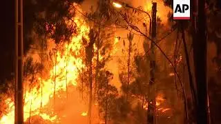 Portugal wildfires rage into the night