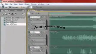 Adobe Audition Audio Mix Down (mp3)